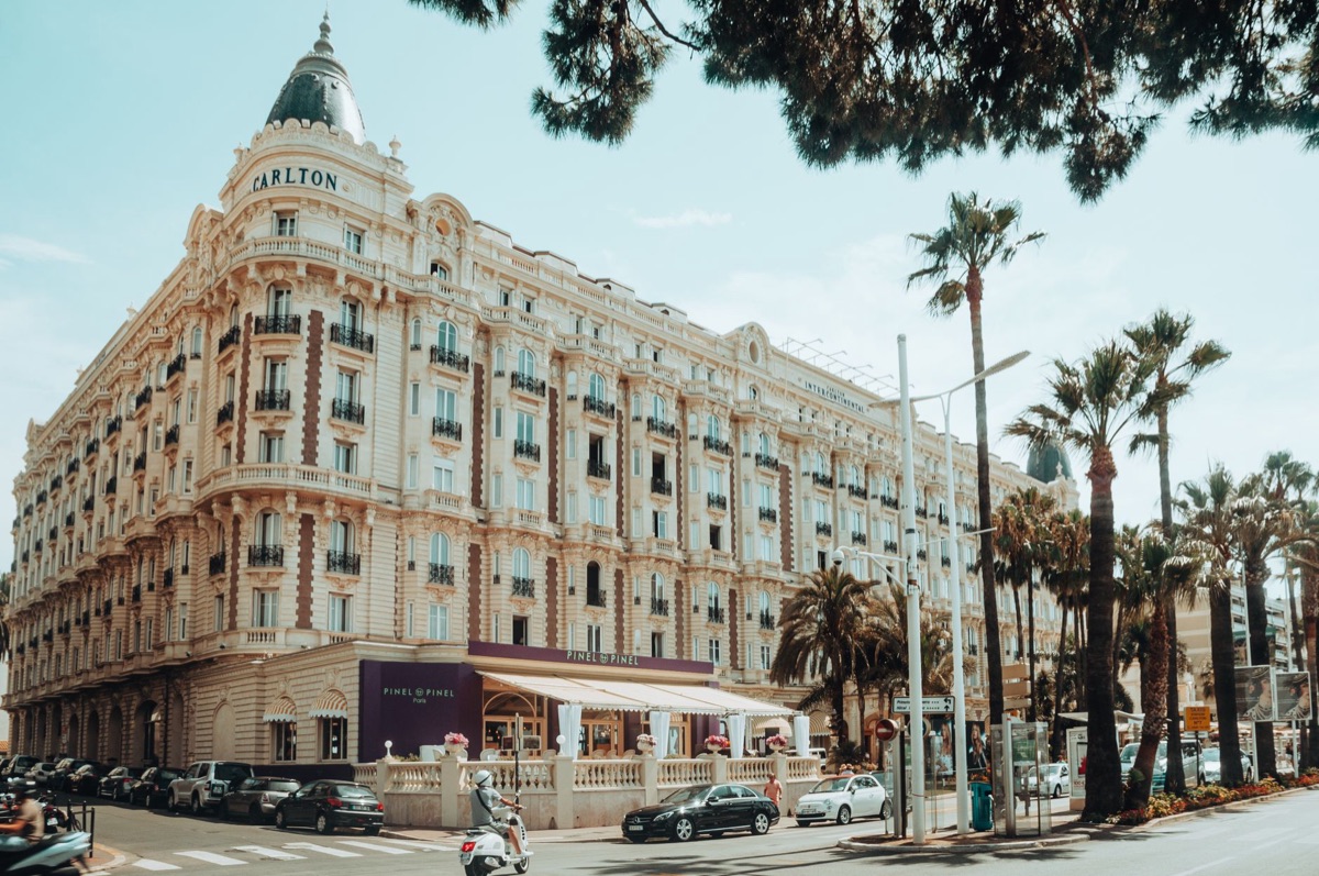 A Palma de Ouro do Festival de Cannes, símbolo de prestígio cinematográfico.