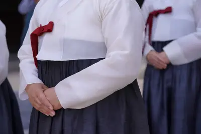 Hana Korea : Signification sociale Hana Korea et thèmes complexes