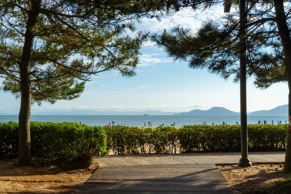 A beautiful beach scene framed by trees and shrubs, with people enjoying the shore in South Korea.