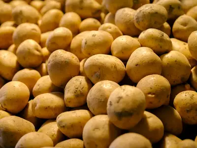 How did the Potato film social debate begin?